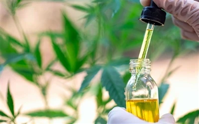 A CBD olaj 9 egészségügyi előnyei – és mellékhatásai