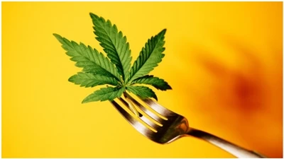 CBD GYIK
