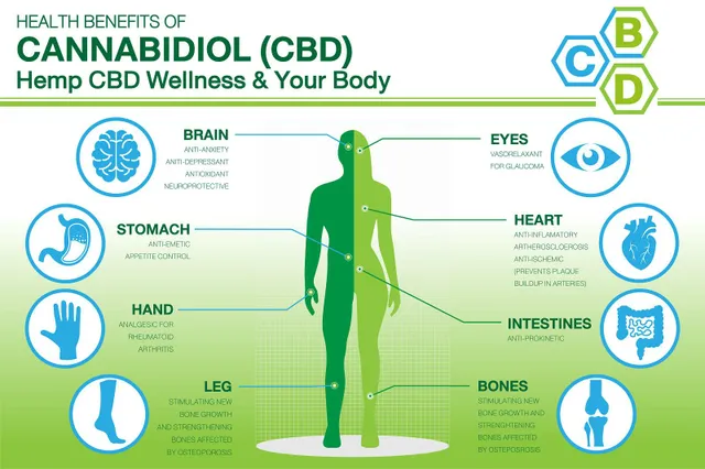 A CBD olaj 5 legjobb egészségügyi előnye – és a mellékhatások pillantása