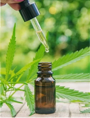 Mit kell tudni a CBD kipróbálása előtt