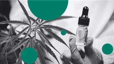 Kender vs CBD: mi a különbség?