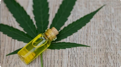 Melyik Highline Wellness termék a legjobb az Ön számára?