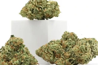 Miért a CBD a legjobb természetes ajakbalzsam?
