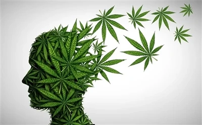 Hogyan használjuk a CBD olajat az optimális előnyök érdekében: teljes útmutató?